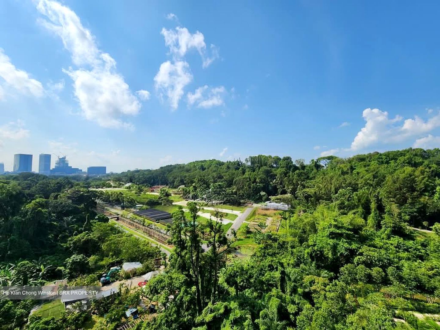 Normanton Park (D5), Apartment #552398441